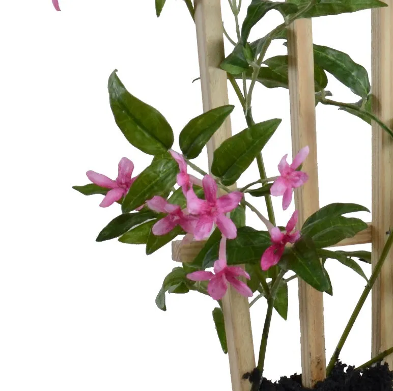 Jasmine Vine 18"H